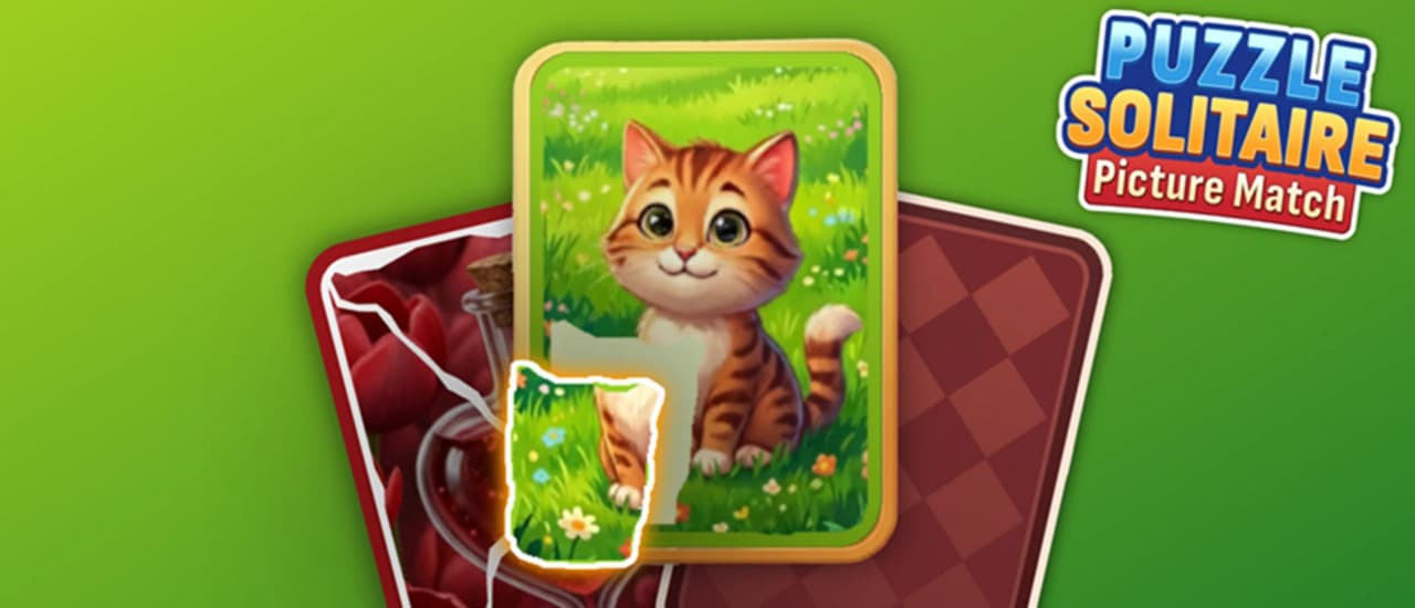 Puzzle Solitaire Picture Match